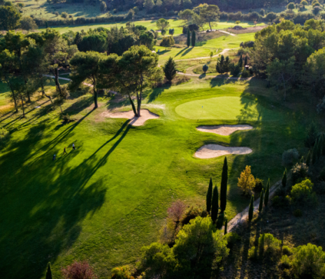 MSD - GandC_golf 2